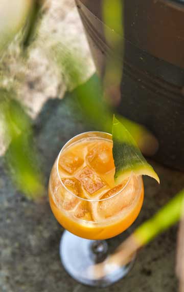 Die Waid - Sommercocktail